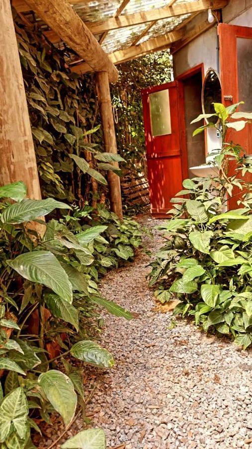 Villa Morena Benessere Florianópolis Esterno foto