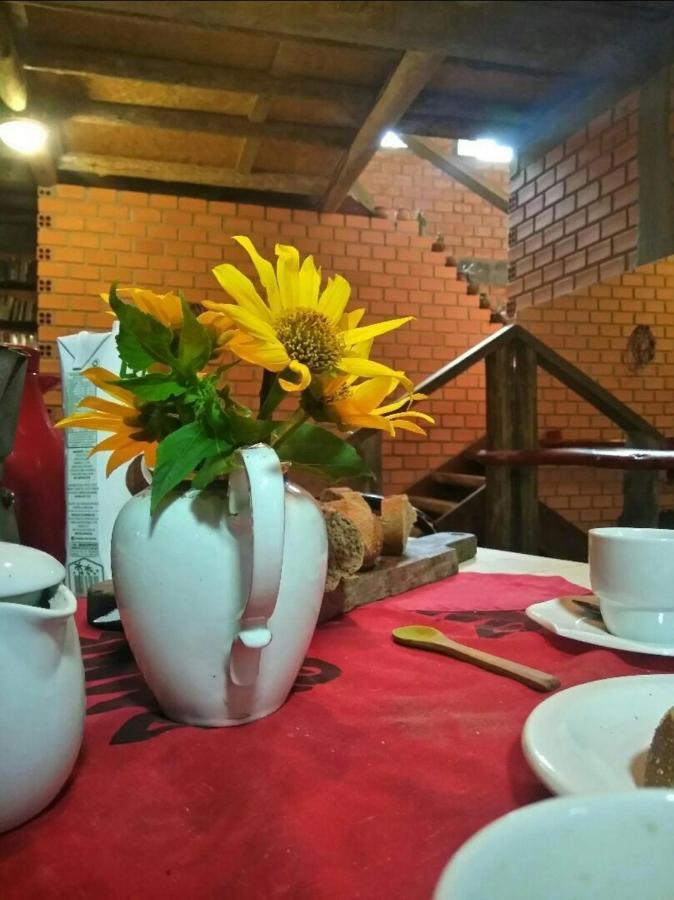 Villa Morena Benessere Florianópolis Esterno foto