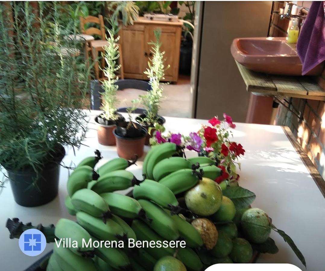 Villa Morena Benessere Florianópolis Esterno foto