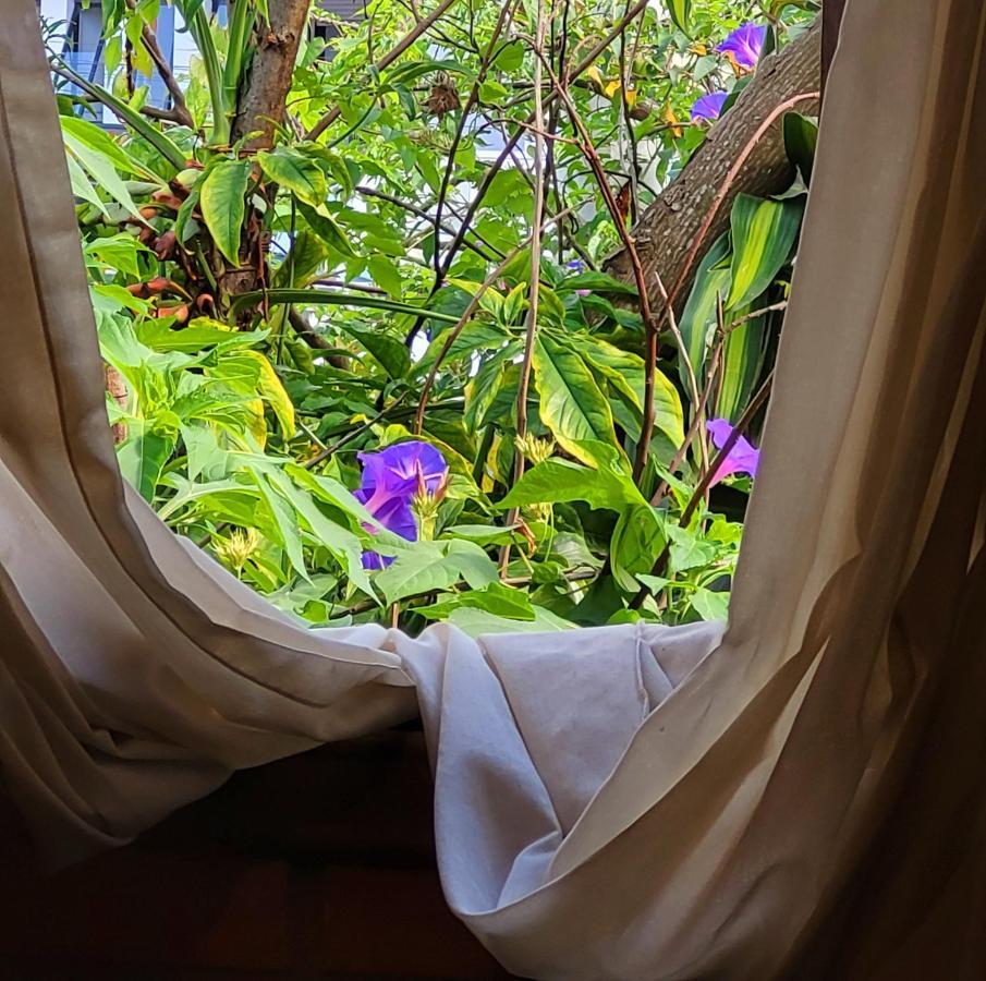 Villa Morena Benessere Florianópolis Esterno foto