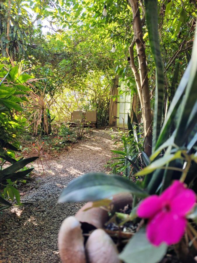 Villa Morena Benessere Florianópolis Esterno foto